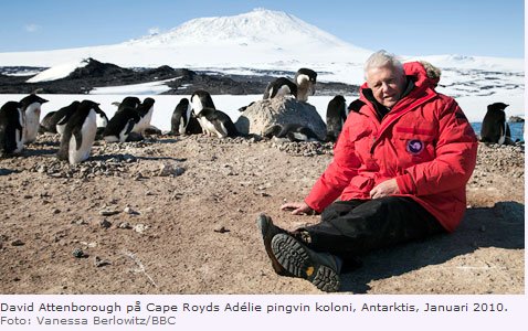 BBC_Den_optimala_polarexpedtionen